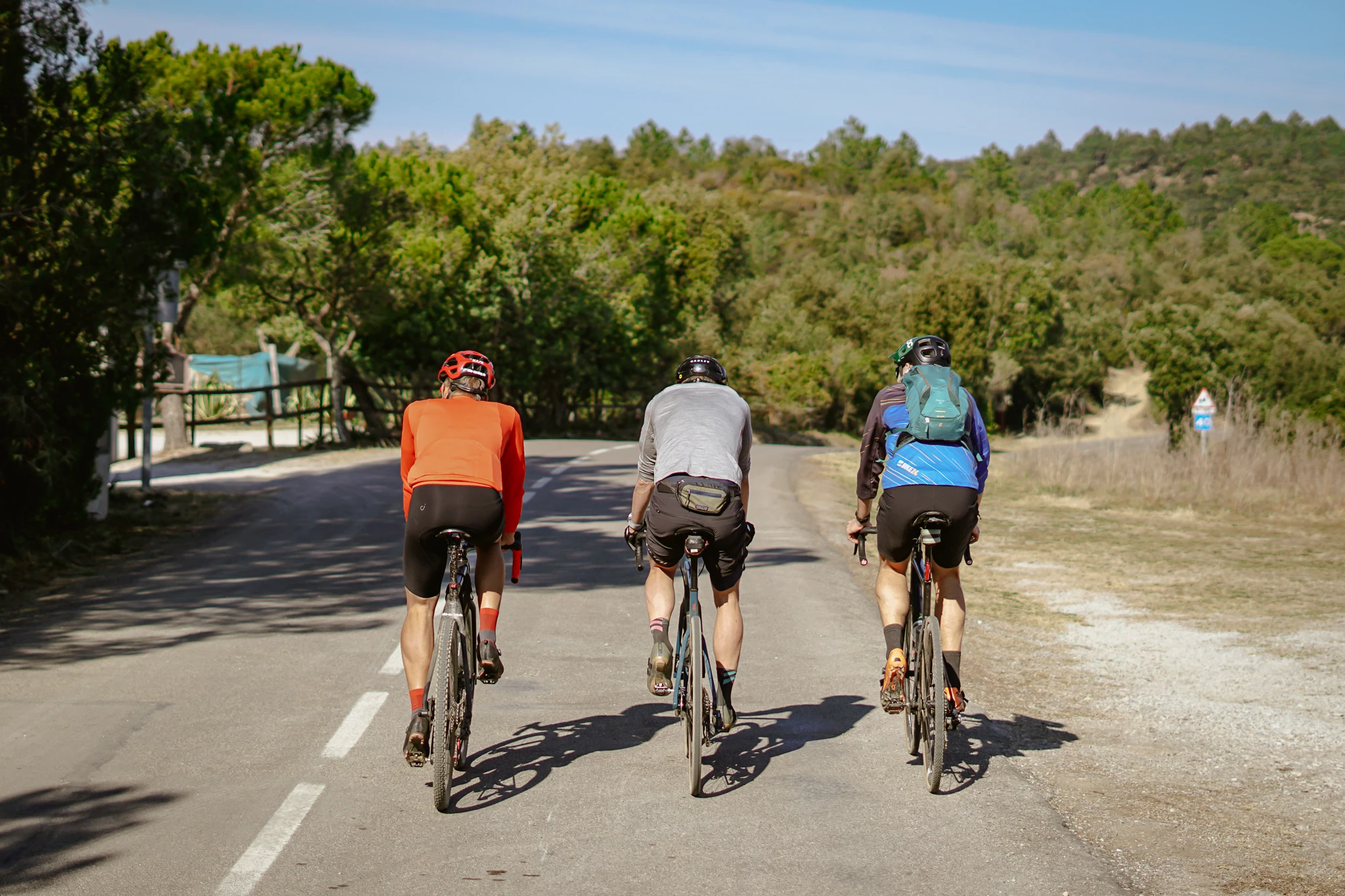 Pièces vélo trekking Soldes 1 Pièces vélo trekking Soldes -Pièces vélo trekking Soldes 278398957 5517759091582295 6036783050421148245 n