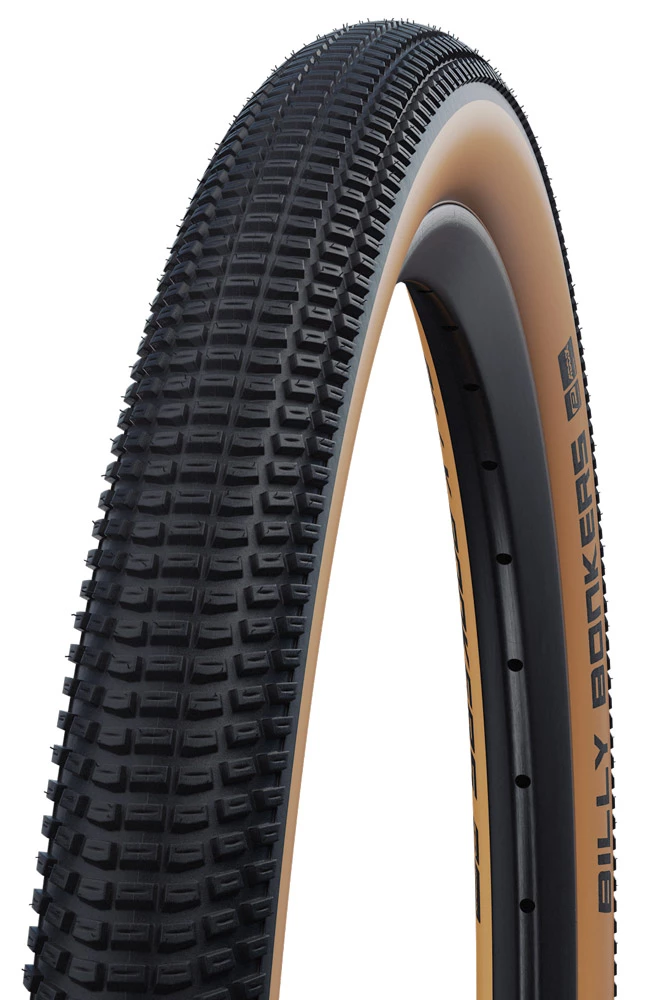 Schwalbe Billy Bonkers Performance 24x2,00" Addix Pneus Pliants 1 Schwalbe Billy Bonkers Performance 24x2,00" Addix Pneus Pliants