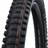 Schwalbe Big Betty Evo Super Ground 24x2,40" Addix Soft E-50 Pneus Pliants