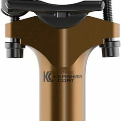 Fox Racing Tige De Selle Transfer SL Factory Ø 31.6mm XL 100mm Internal Vario 9 Fox Racing Tige De Selle Transfer SL Factory Ø 31.6mm XL 100mm Internal Vario -Pièces vélo trekking Soldes fox racing 925 01 217 20103925 Transfer SL Factory O 31 6mm XL 100mm Internal Vario Sattelstutze 5